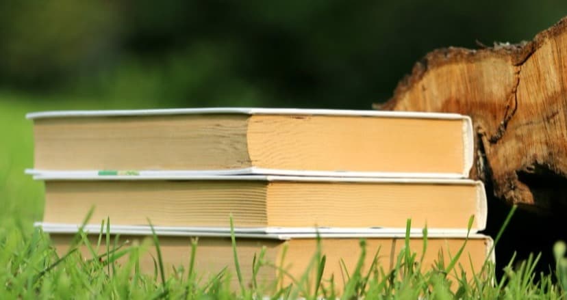 What is the CEED Entrance exam syllabus?